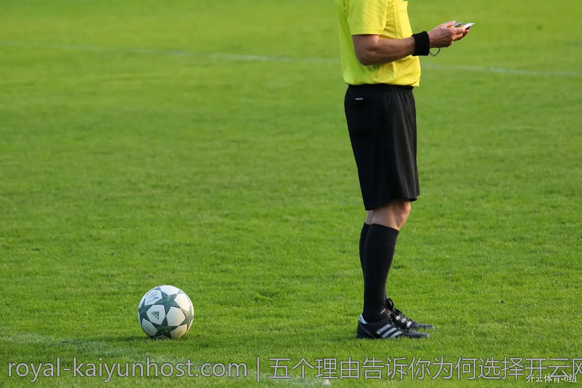 五个理由告诉你为何选择开云网址